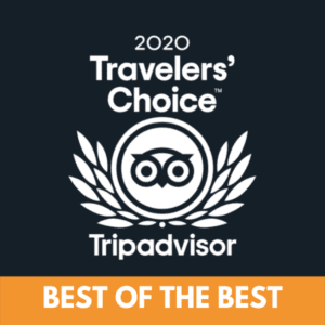 2020 travelers choice